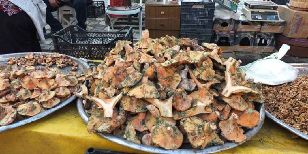 Yağmurun bereketi resmen fışkırdı! Ormanlar doldu, tezgahlar süslendi: 400’den 100 TL’ye düşen fiyat güldürdü 2